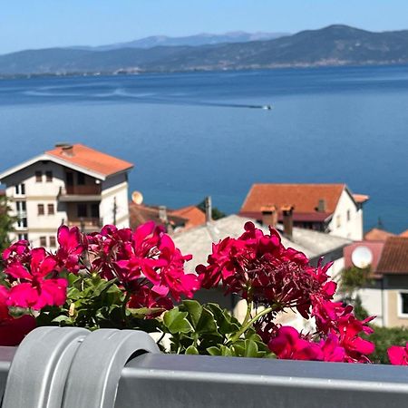 Vila Vista Magica Radozda Struga Extérieur photo
