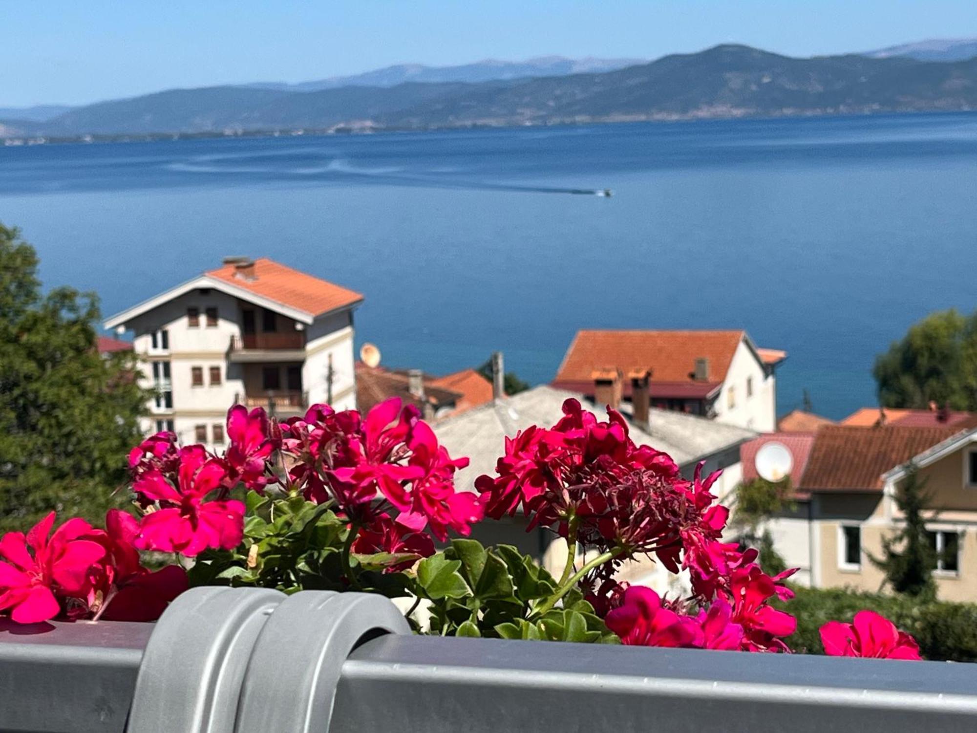 Vila Vista Magica Radozda Struga Extérieur photo